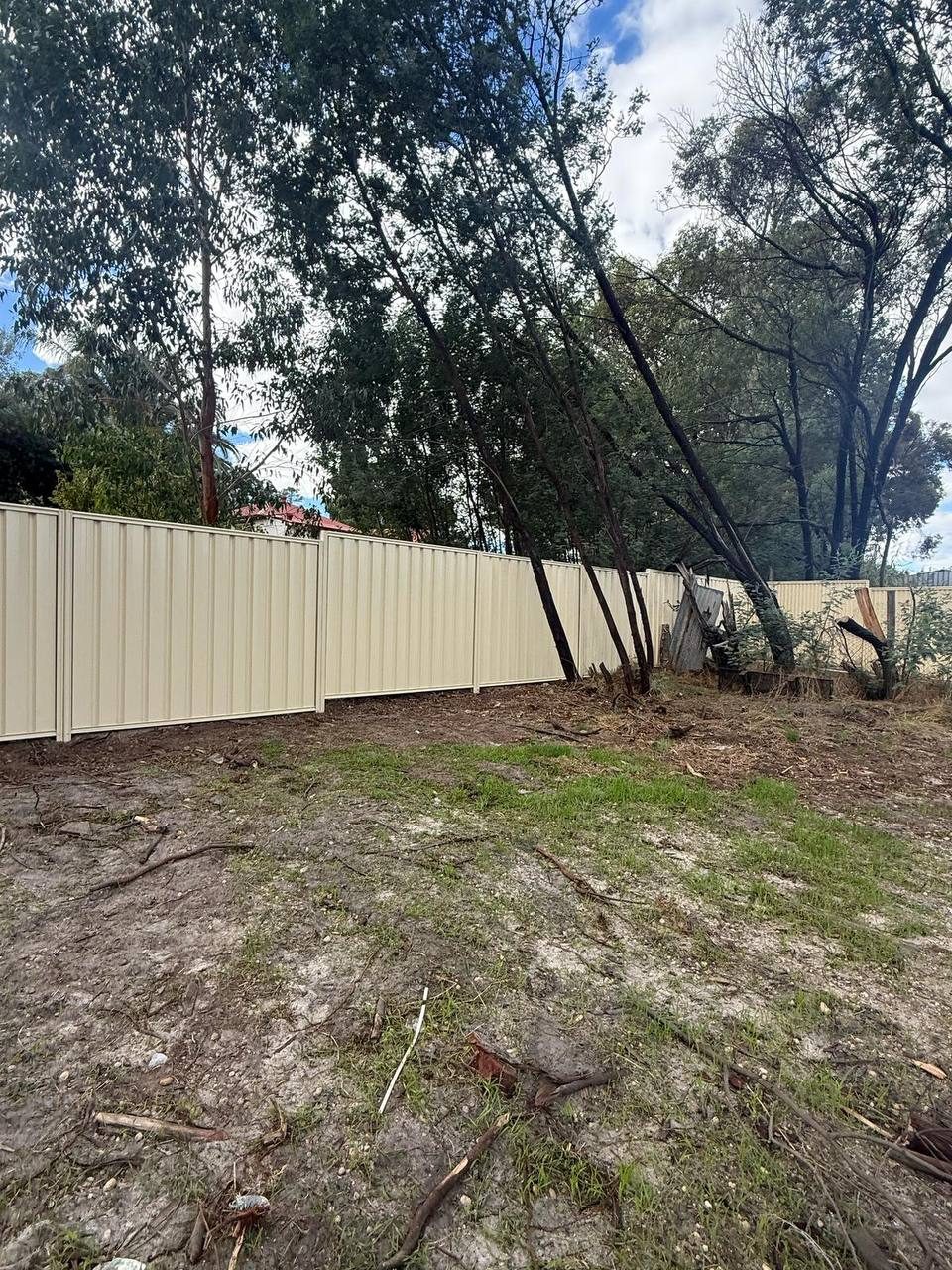 Rear boundary fence in Colorbond