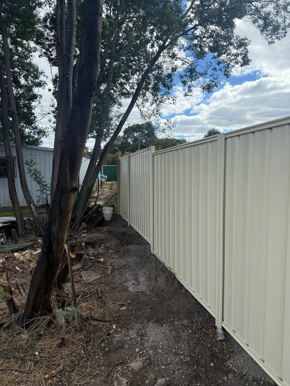 Side boundary in Colorbond