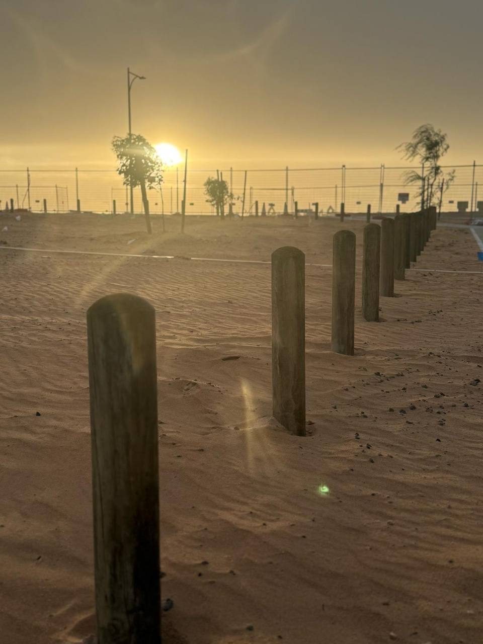 Row of new timber bollards